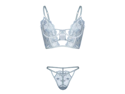 Embroidered Lingerie